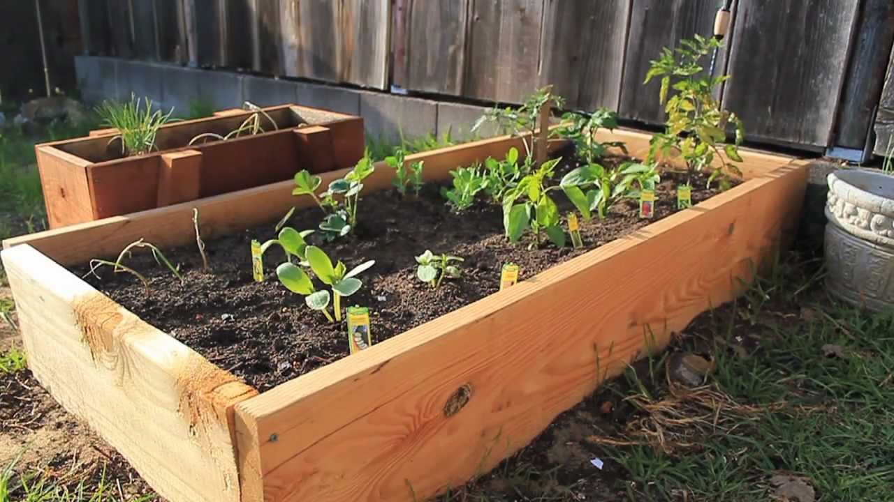 Lasagne Gardening Is Simple To Start