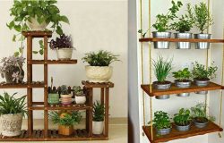 DIY Salad Green Shelves
