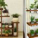 DIY Salad Green Shelves