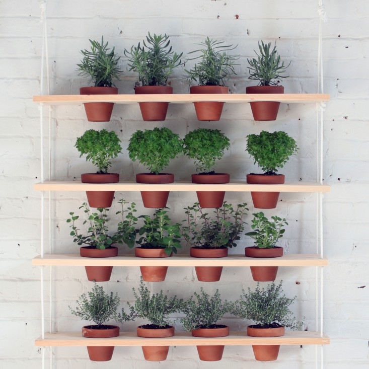 Make Your Own Plant Shelves