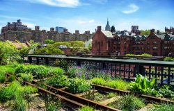 Urban Edible Landscapes