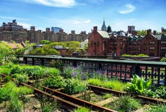 Urban Edible Landscapes