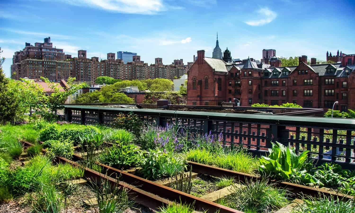 Urban Edible Landscapes