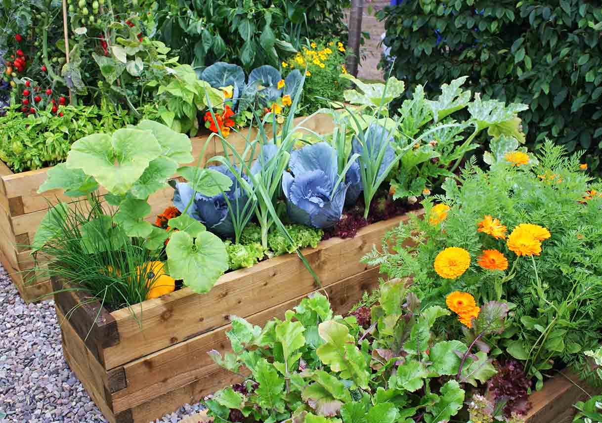 Food Grown Is Often Given To Local Food Banks