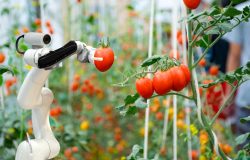 The Unmanned Farm Has Machines Doing The Hard Labor