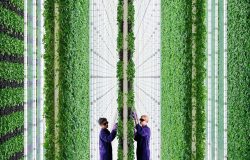 Plenty's Vertical Farm