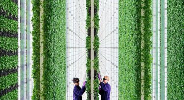 Plenty's Vertical Farm