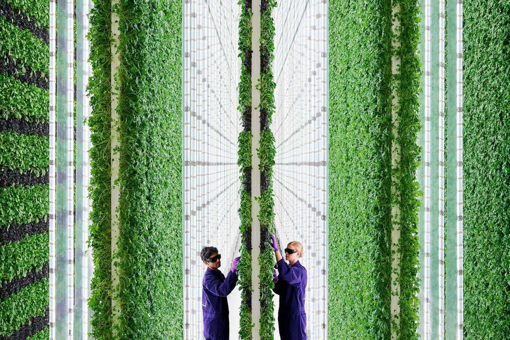 Plenty's Vertical Farm