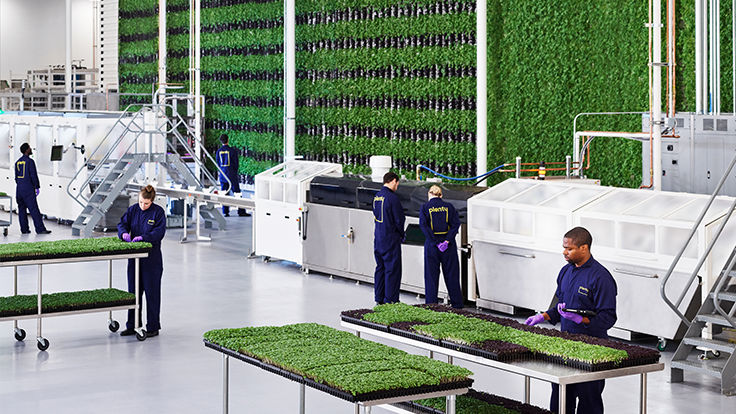 Vertical Farming Uses 95% Less Water Than Traditional Farming