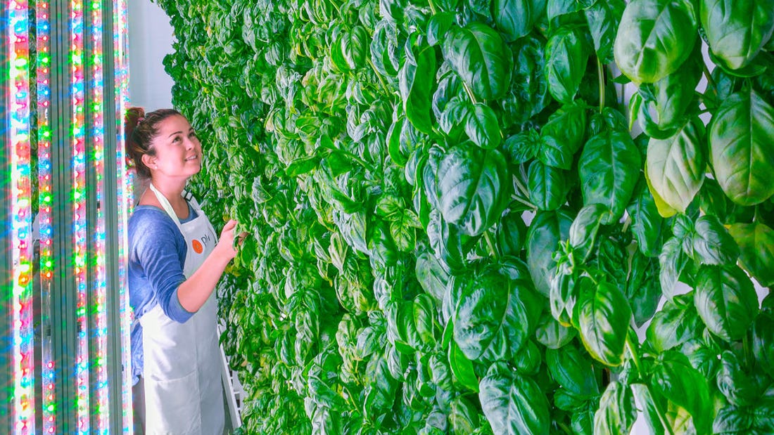 Vertical Farms Are The Future