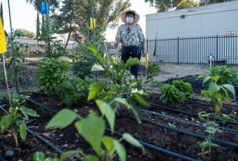 Jardín De La Salud Provides Food To The Underserved Community